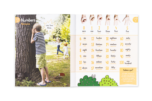 I Know English! – Portuguese and English Picture Dictionary