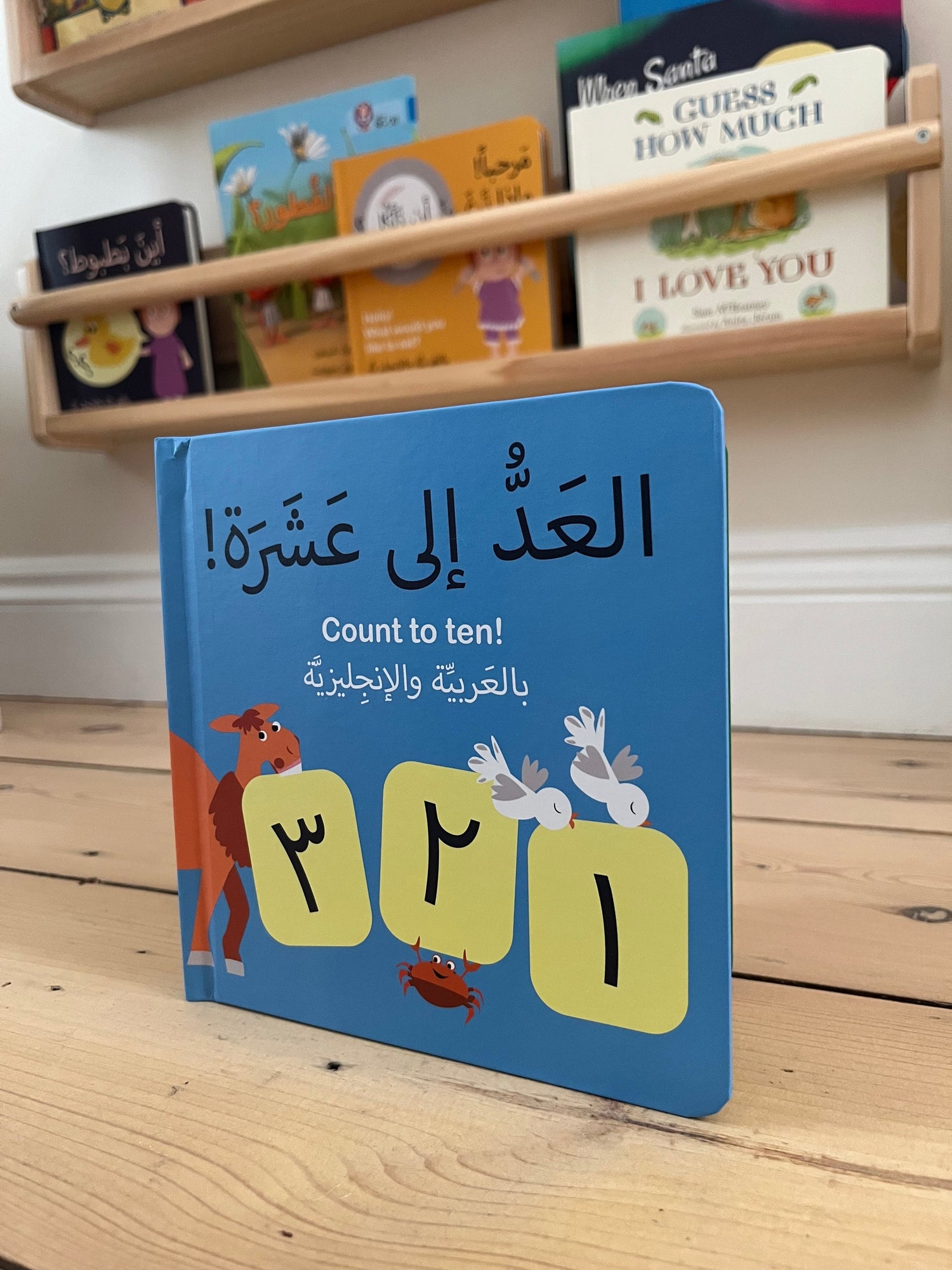 Bilingual Arabic Children's Books