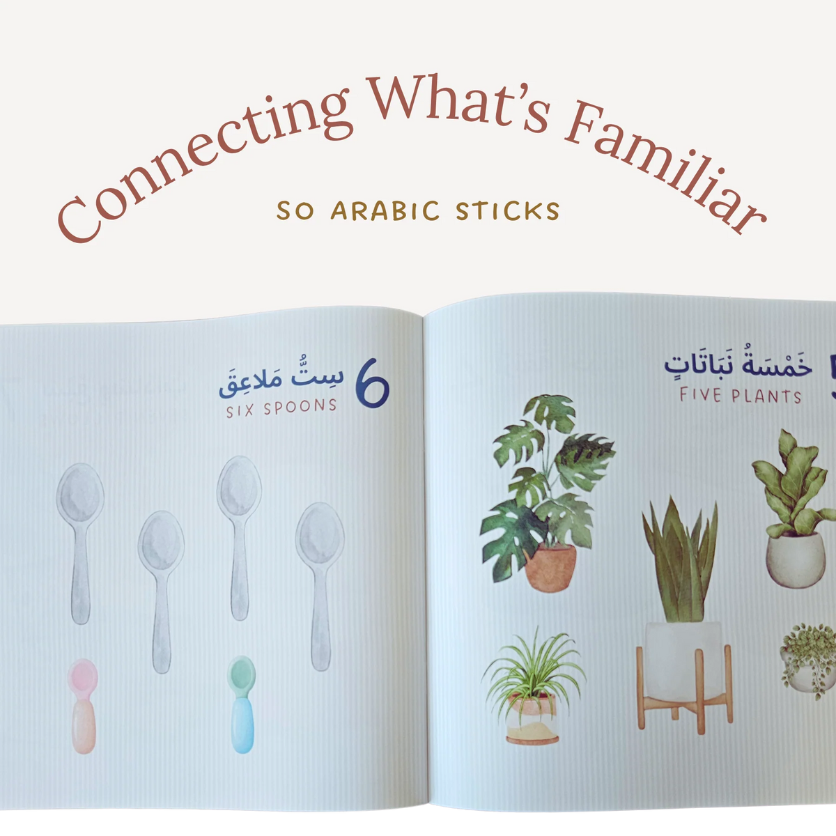 Let's Count Around the House - Bilingual Arabic & English - NEW!