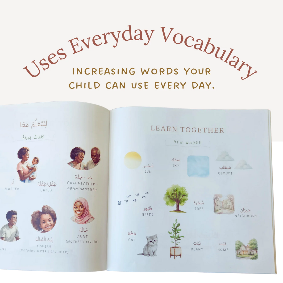 Let's Count Around the House - Bilingual Arabic & English - NEW!
