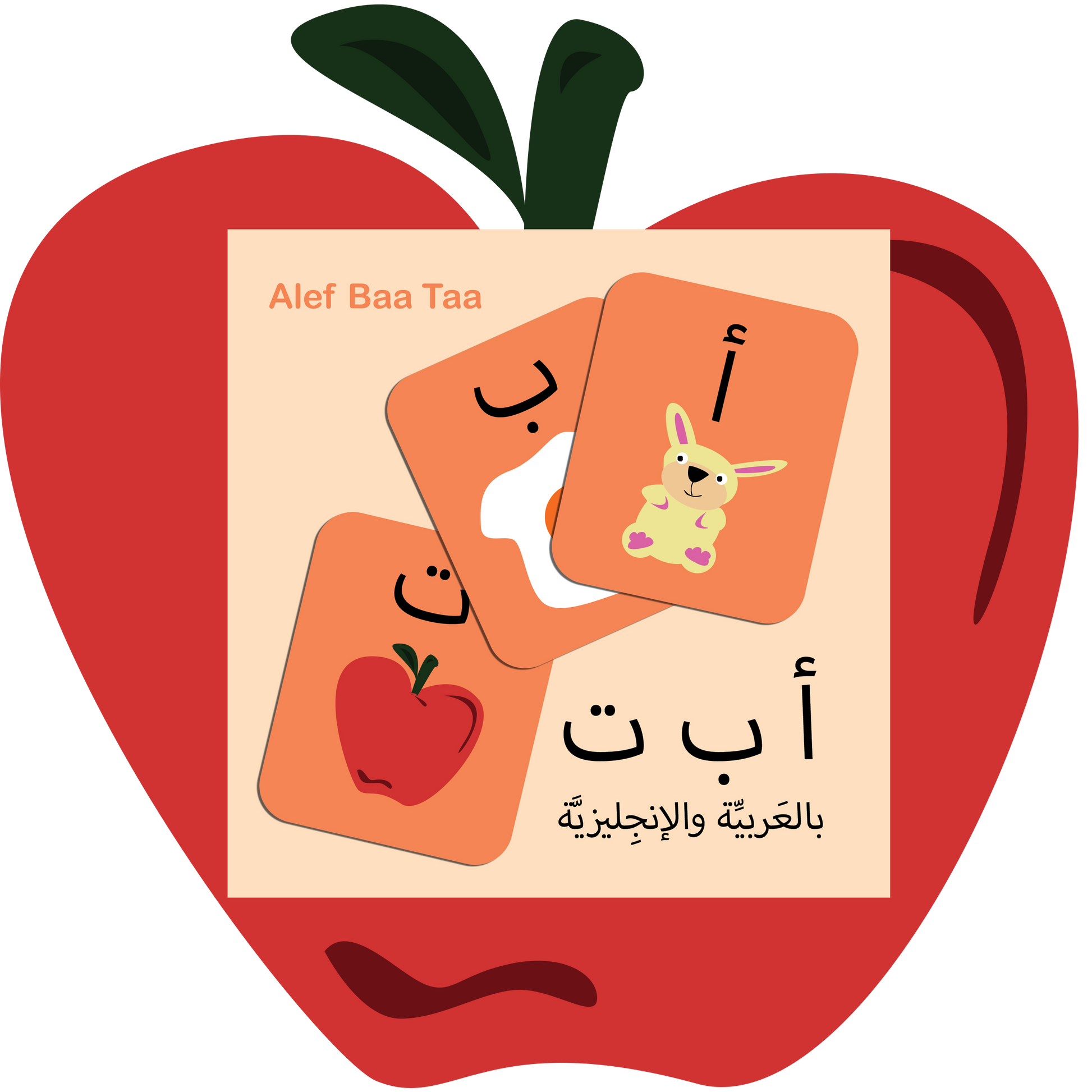 Bilingual Arabic Alphabet  with Arabic and English letters