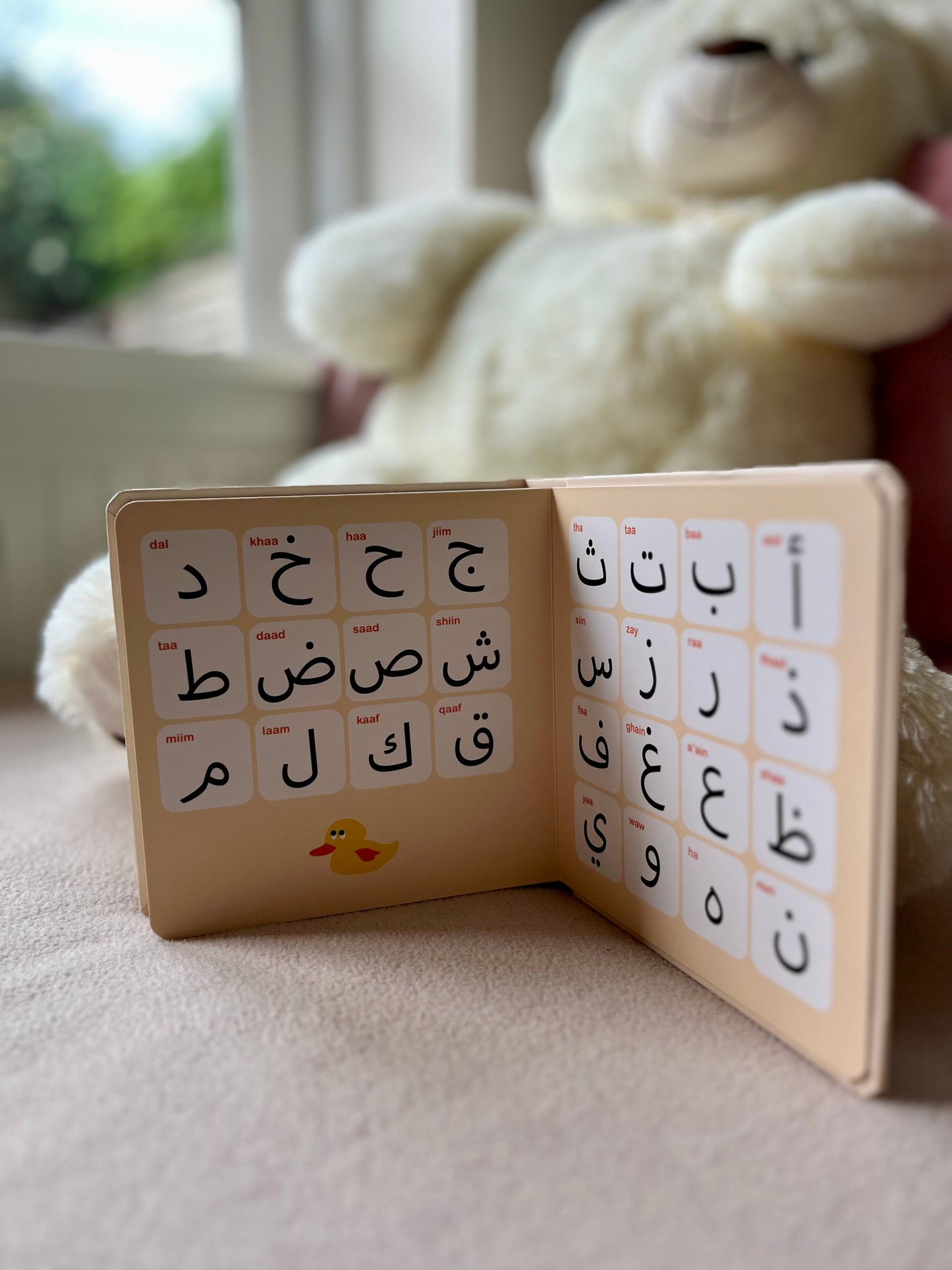 Bilingual Arabic Alphabet  with Arabic and English letters