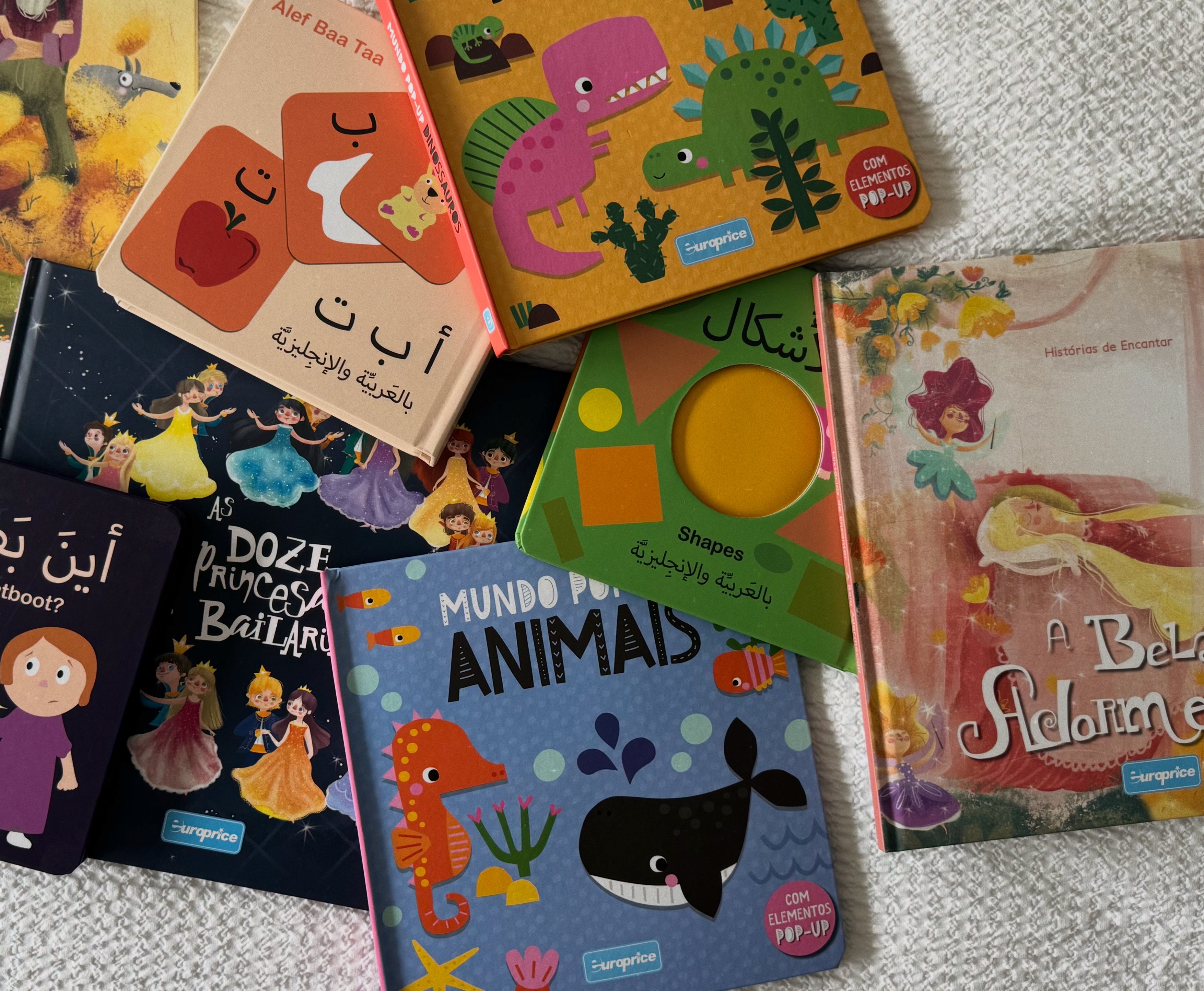 Collection of colourful bilingual children's books.