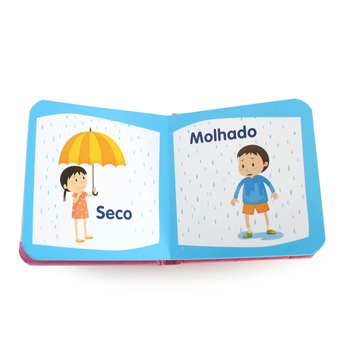 Mini Library - Collection Box