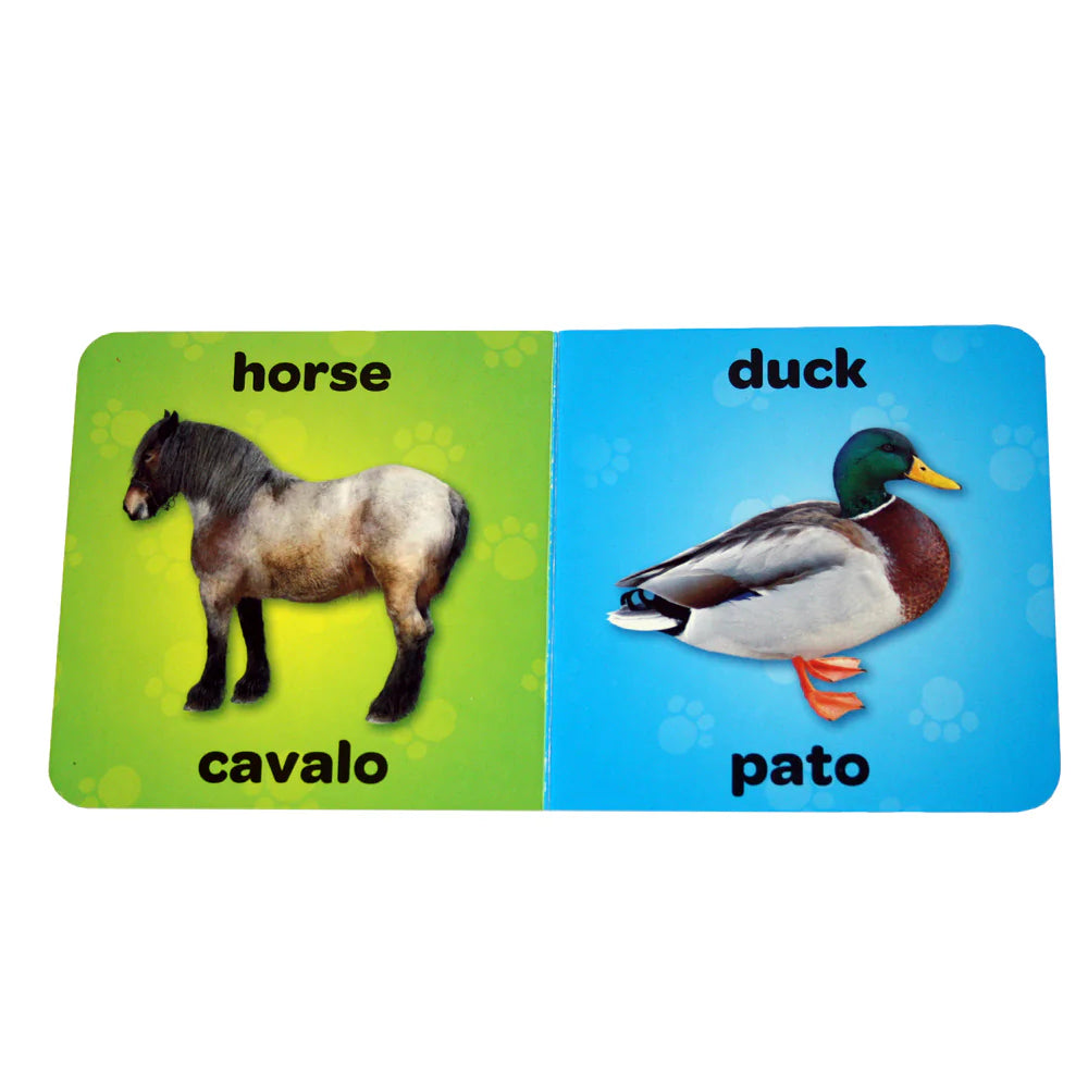 1,2,3, Let's Learn English (Wild Animals) -  (Imperfect)