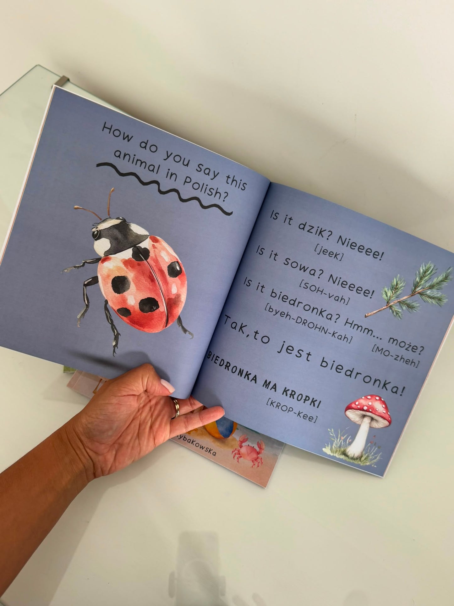 Bilingual Polish-English children's book bundle interior page showing woodland animal vocabulary